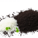 Citric Acid and Biochar Turn Biodegradable Cellulose into a Smarter Slow-Release Urea Fertilizer