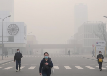 Air Pollution Episodes May Trigger Influenza Resurgence Weeks Later in South Korea