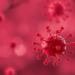 Hidden hepatitis B: how occult infection evades tests and threatens patients