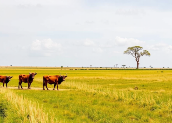 Four Global Change Drivers Reshape Grassland Stability in Surprising Ways