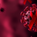 Bartonella Exposure Common Among People With HIV in Iran, Serology Study Finds
