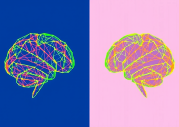 New Study Maps When Mutual Information Beats Pearson Correlation in Brain Signals