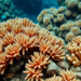 Marine Heatwaves Collapse Survival of Small Corals, With Bigger Colonies Hit Hardest
