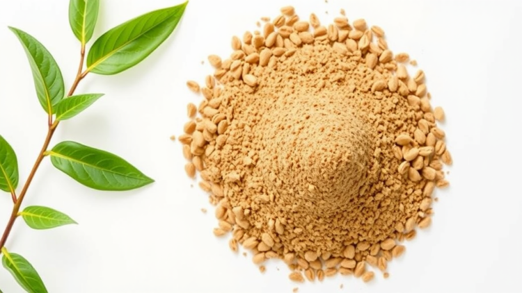 Instant Tartary Buckwheat Tea Powder Shows Cholesterol-Lowering Promise
