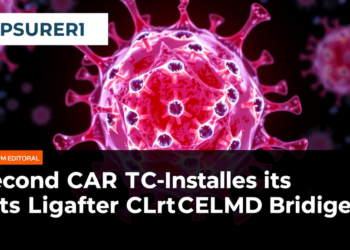 Second CAR T-Cell Infusion Hits Myeloma After CELMoD Bridging