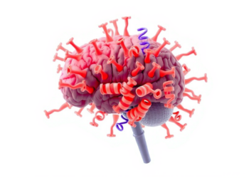 ALS Protein Clumps Found Far Beyond the Brain Suggest a Whole-Body Disease