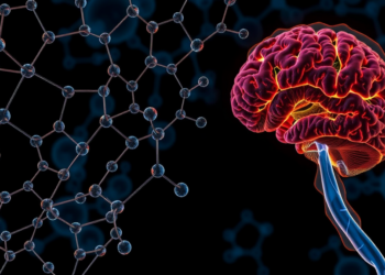 Urine Chemistry Reveals Hidden Signatures of Parkinson’s Disease