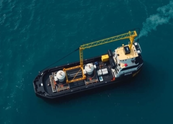 Scientists Race to Unlock the Ocean’s Tiny Powerhouses With Greener Extraction Methods
