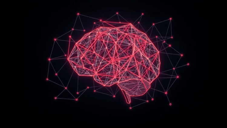 How Anxiety and Depression Shape Adolescent Minds, Mapped Network by Network
