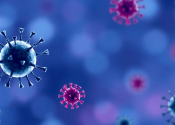 New SPAID Database Maps Hidden Autoantigens Behind Autoimmune Diseases