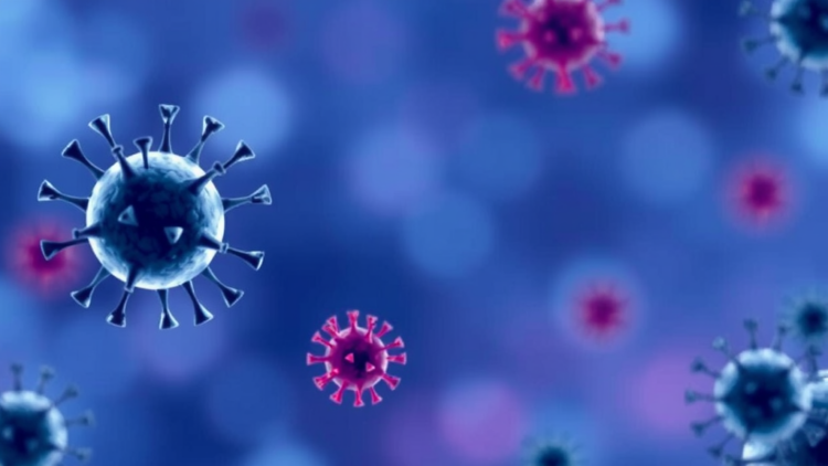 New SPAID Database Maps Hidden Autoantigens Behind Autoimmune Diseases