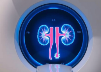 Radiation-Free MRI Scan Offers One-Stop Imaging for Children with Kidney Birth Defects