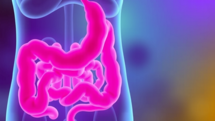 Gut Microbiome Signals of Colorectal Cancer Run Stronger in Women Than Men, Screening Study Finds