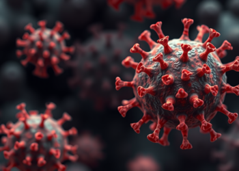 Natural Killer Cells Stay Battle-Ready in Obesity-Linked Cancer Terrain