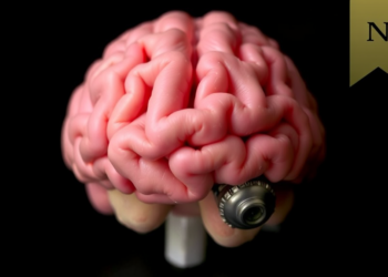 Blink Rate in Early Childhood May Signal the Brain’s Executive Function Origins