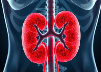 Bile Acids Show Surprising Spike in Early Diabetic Kidney Disease, Study Finds