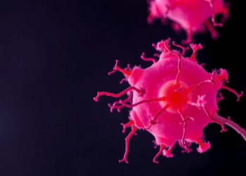 Fission Yeast Study Reveals How Gdt1, Gdt2 and Pmr1 Team Up to Balance Calcium and Manganese