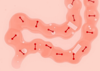 Common Stomach Bacterium Shows No Link to Insulin Resistance in Large Chinese Study
