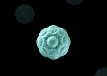 Disc-Shaped, Deformable Nanoparticles Break the 1% Delivery Barrier in Cancer and Stroke