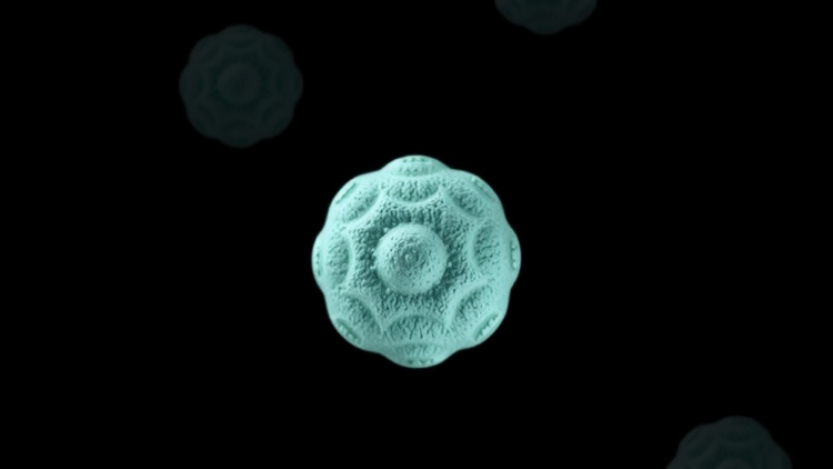 Disc-Shaped, Deformable Nanoparticles Break the 1% Delivery Barrier in Cancer and Stroke