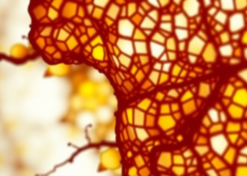 Mitochondrial Citrate Transporter SLC25A1 Drives Skin Cancer Through Histone Acetylation