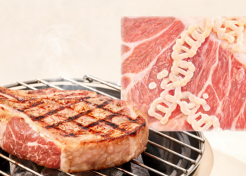 Why Duroc Pork Turns Tender on the Grill: Fatty Acids Hold the Answer