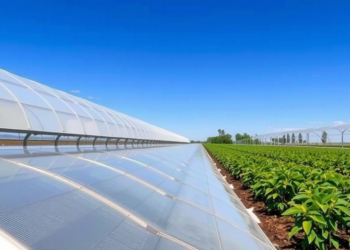 AI Model Cuts Greenhouse Water Use by 79 Percent Under Supply Restrictions