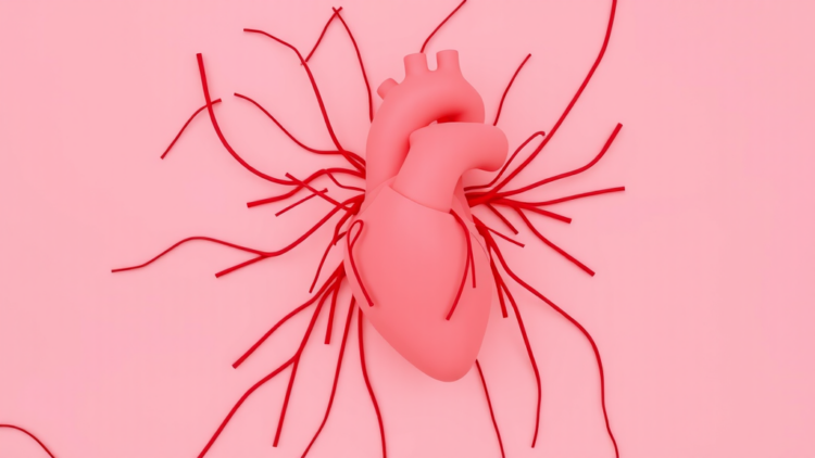 Hidden Heart Disease Toll Emerges in Indonesian Screening of Over-40s