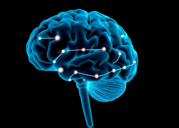AI model predicts which patients with memory problems will develop dementia within two years