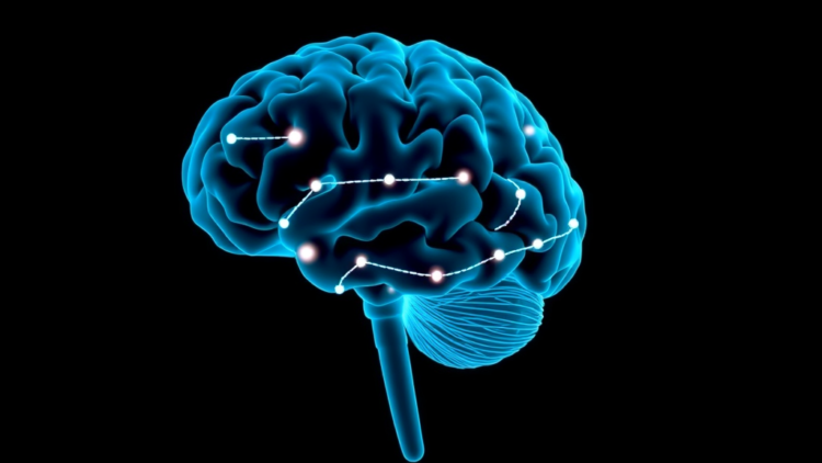 AI model predicts which patients with memory problems will develop dementia within two years