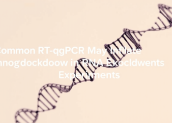 Common RT–qPCR Artifact May Inflate RNA Knockdown in CRISPR Experiments