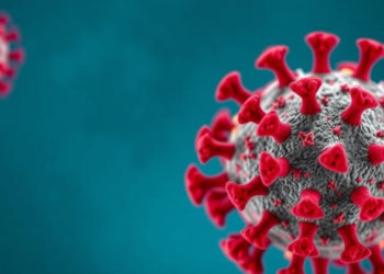 Human Bocavirus Often Travels With Other Viruses, Global Analysis Finds