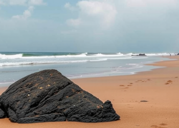 Monazite Sands and Heavy Metals: Scientists Decode the Geochemistry of Kerala’s Radioactive Coast