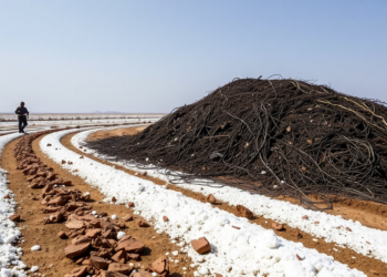 Gypsum and Compost Combo Strips Salt From Ethiopia’s Ravaged Farmland