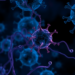 Zinc Finger Protein ZNF154 Pushes Bladder Cancer Cells Into Ferroptosis by Suppressing a Key Survival Pathway