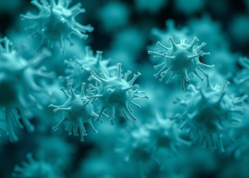E. coli cells race to rebuild their proteins in the first hours of starvation