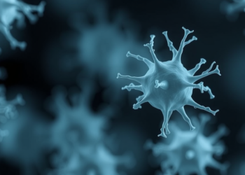 PhoU Protein Reveals How Klebsiella pneumoniae Builds Its Antibiotic-Tolerant Persister Cells