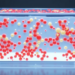 3D-Printed Lightbox Delivers Lab-Quality Agar Plate Images for Machine Learning