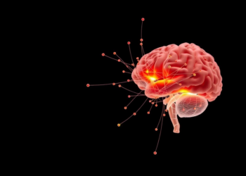 Brain Network Study Reveals Local–Global Breakdown in Anorexia Nervosa