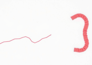 Unequal Access to Medical Data Skews France’s Colorectal Cancer Screening Statistics