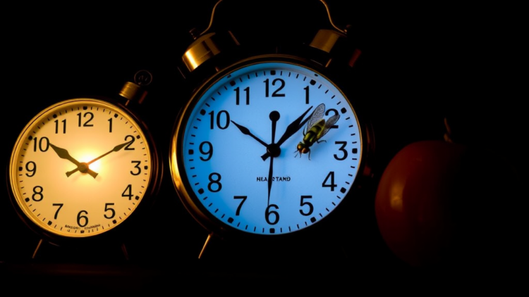 Sex Rewrites the Fruit Fly Clock: How Mating Urges Shift Daily Routines Into Day or Night