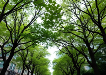 Urban Trees Ease Negative Emotions on Social Media, Especially During COVID-19