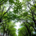 Urban Trees Ease Negative Emotions on Social Media, Especially During COVID-19