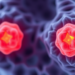 Lab-Grown Tumor Organoids Illuminate How Cancers Evade, Tolerate, and Resist Treatment