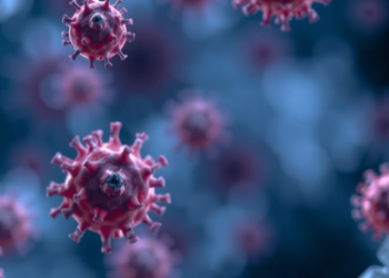 Gut Microbiome Shapes Immune Response to Oral ETEC Vaccine in Volunteers