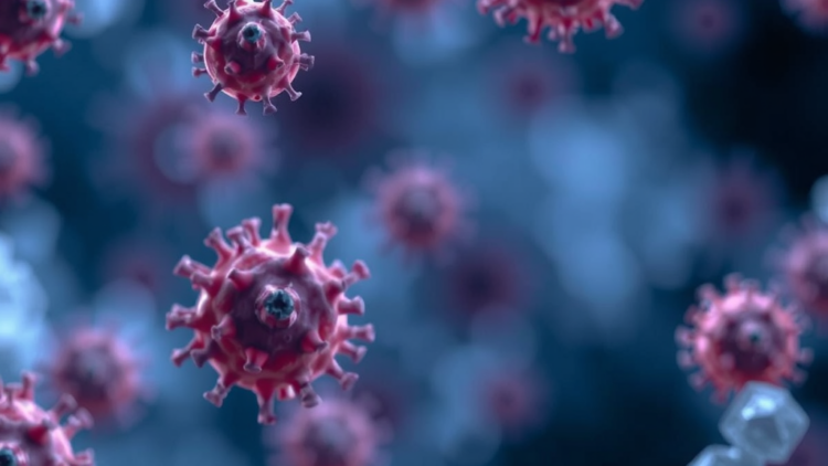 Gut Microbiome Shapes Immune Response to Oral ETEC Vaccine in Volunteers