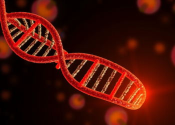 Evolved Lantern Tool Lights Up RNA and Protein Neighbors in Living Cells