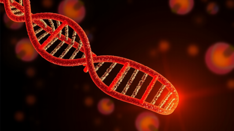 Evolved Lantern Tool Lights Up RNA and Protein Neighbors in Living Cells