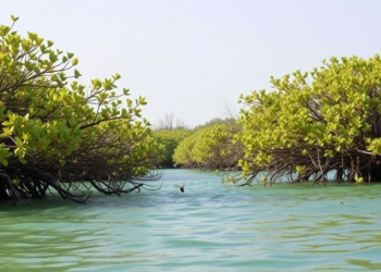 Honeybees May Give Struggling Red Sea Mangroves a Reproductive Boost