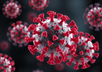 Drug Combinations Show Broad Synergy Against Alpha, Beta, and Gamma Herpesviruses
